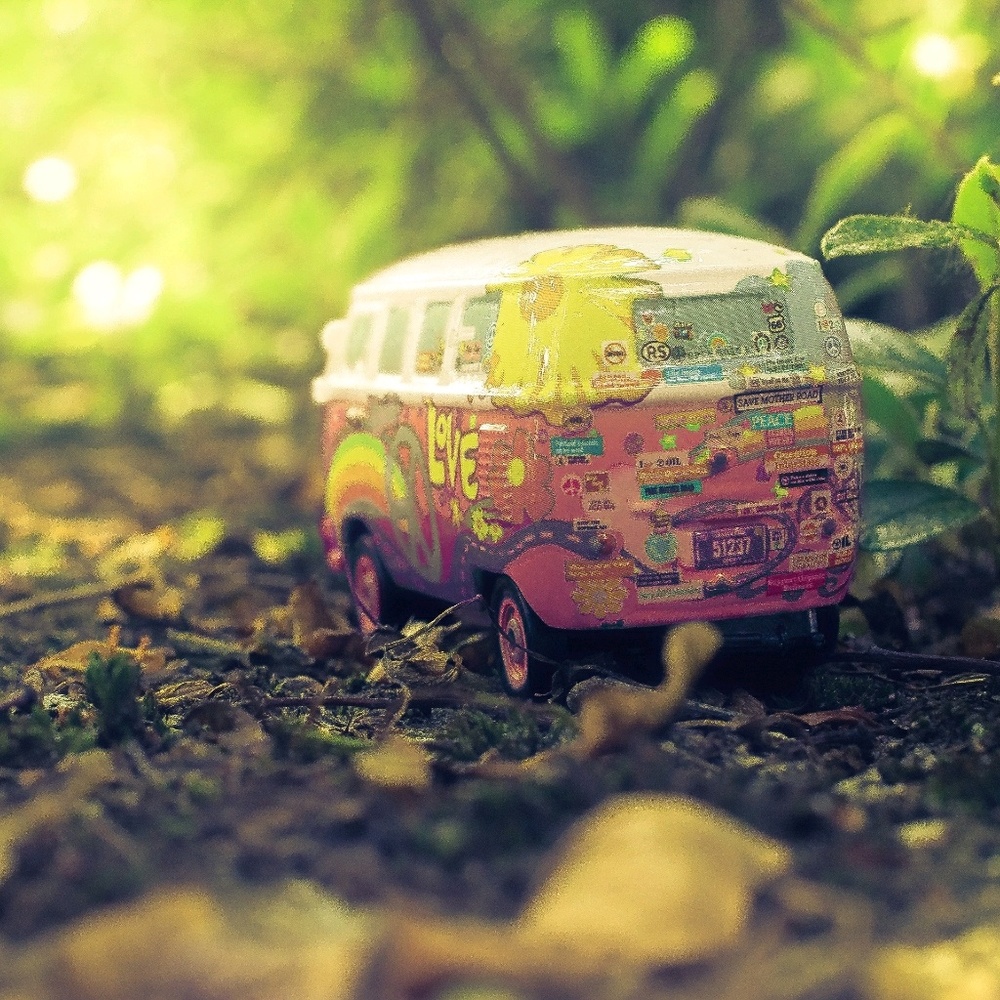 Meet your Posher, Alicia